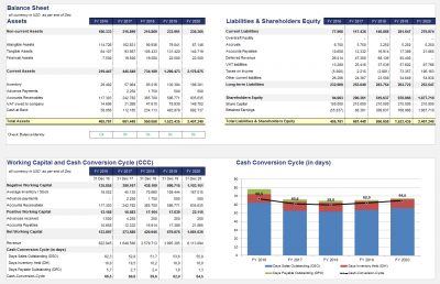 Balance Sheet (condensed), Working Capital & Cash Conversion Cycle