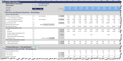 Product specific KPIs (revenue summary, associated expenses)