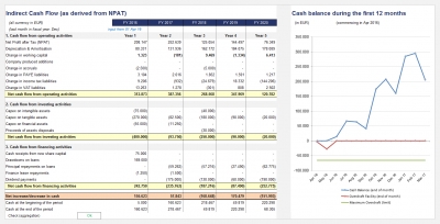 Cash Flow (indirect method) and Cash balance during first 12 months (diagram)